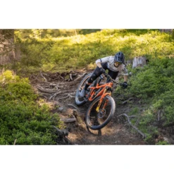 Pivot Firebird 29 Ride GX/X01 Bike - 2022 17 Pivot Firebird 29 Ride GX/X01 Bike - 2022 -Peak Cycle Hub Sales Store 1023181 800 auto