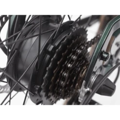 Electra Townie Go! 7D Step-Over E-Bike -Peak Cycle Hub Sales Store 1099679 800 auto