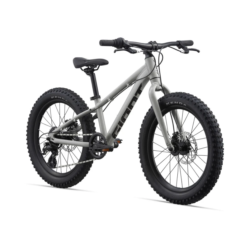 Giant STP 20 Bike Kids' - 2023 1 Giant STP 20 Bike Kids' - 2023