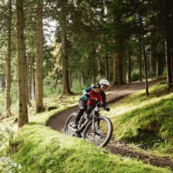 Shotgun Child Bike Seat + Handlebars Combo 9 Shotgun Child Bike Seat + Handlebars Combo -Peak Cycle Hub Sales Store 957712 800 auto