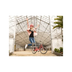 Electra Townie 7D EQ Step-Thru Bike - 2023 -Peak Cycle Hub Sales Store 987807 800 auto