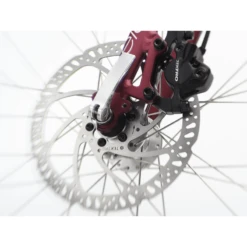 Electra Townie Path 9D Step-Thru Bike - 2023 -Peak Cycle Hub Sales Store 987864 800 auto